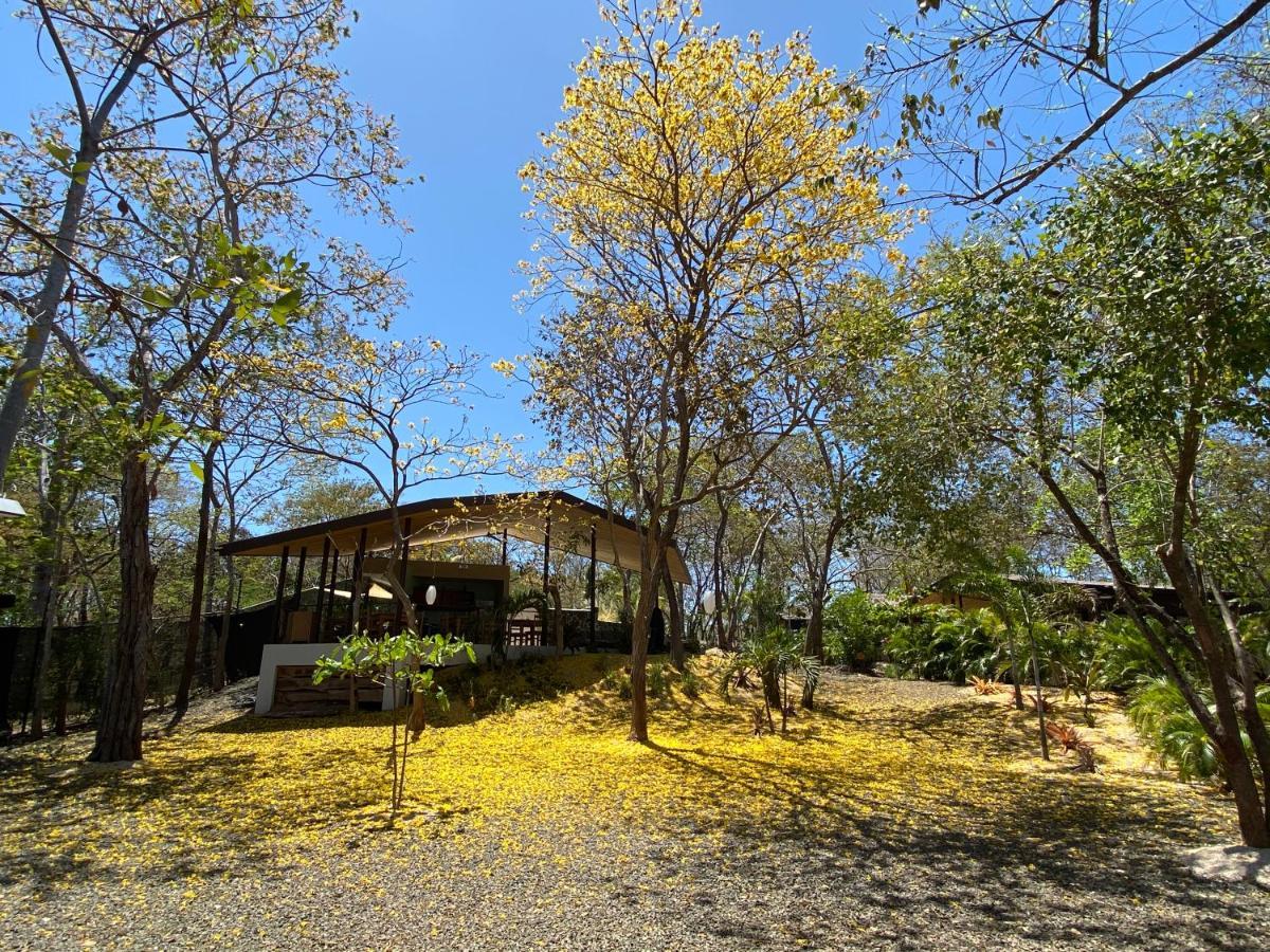 Villas Kalei Playa Grande Extérieur photo